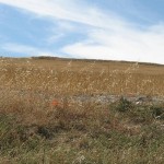 IMG_0350